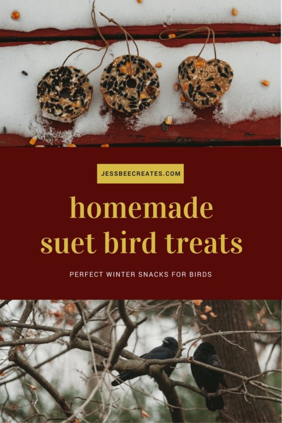 Suet Bird Feeder Recipe