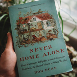 Recently Read: Never Home Alone…