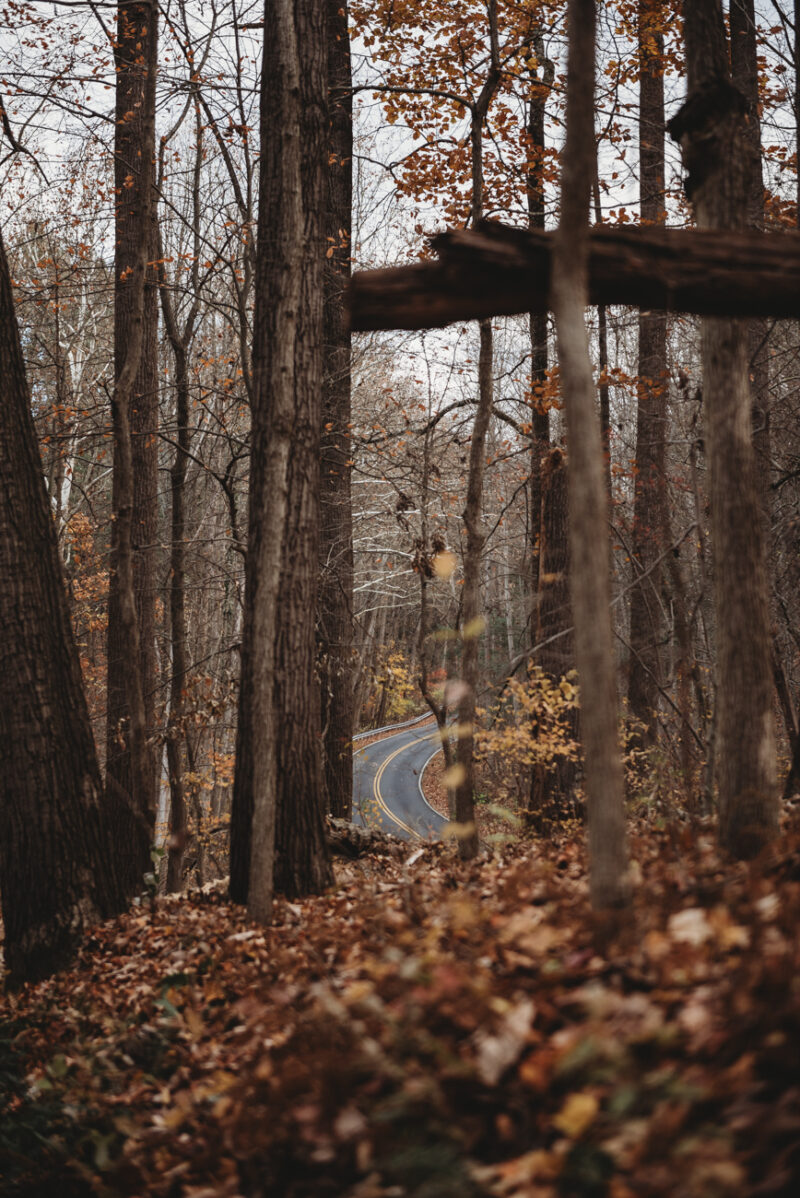 5 Podcasts to Get You Ready for Spooky Season, 2021 Edition