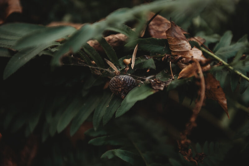 5 Podcasts to Get You Ready for Spooky Season, 2022 Edition